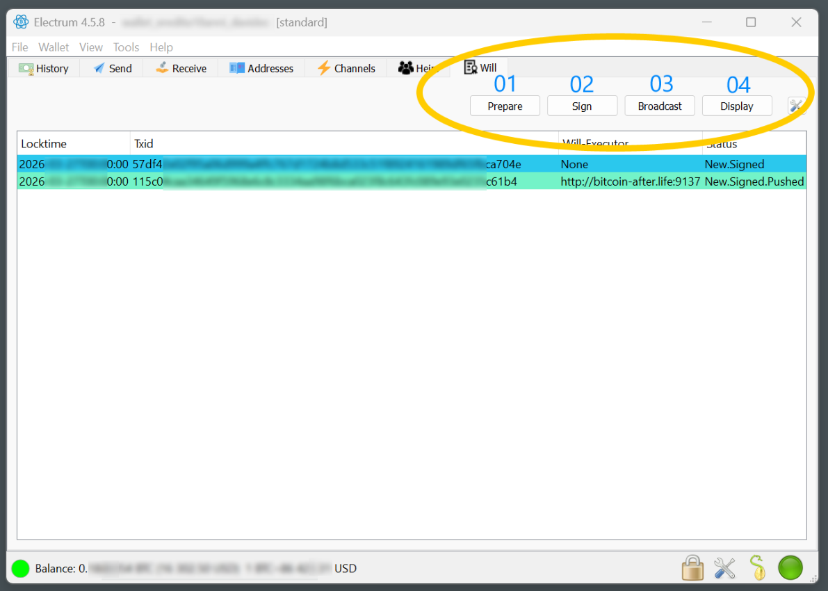 Figure 9 — WILL tab and Will‑Details window