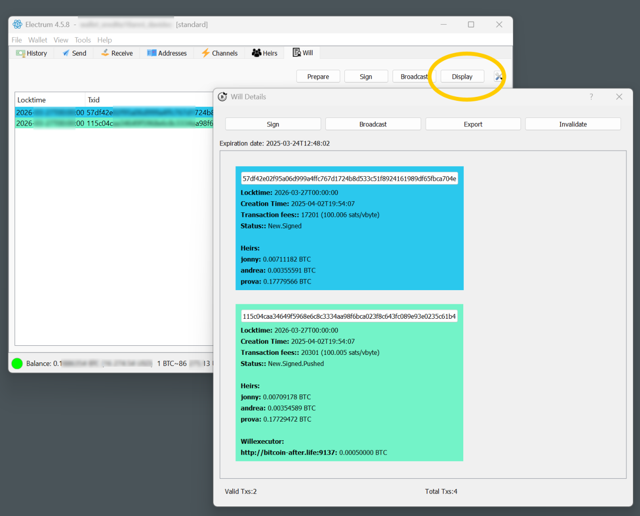Figure 10 — Will‑Details window